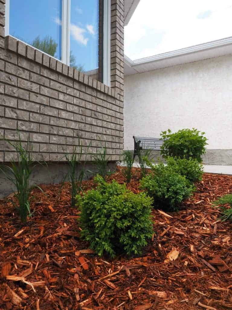 front garden ideas