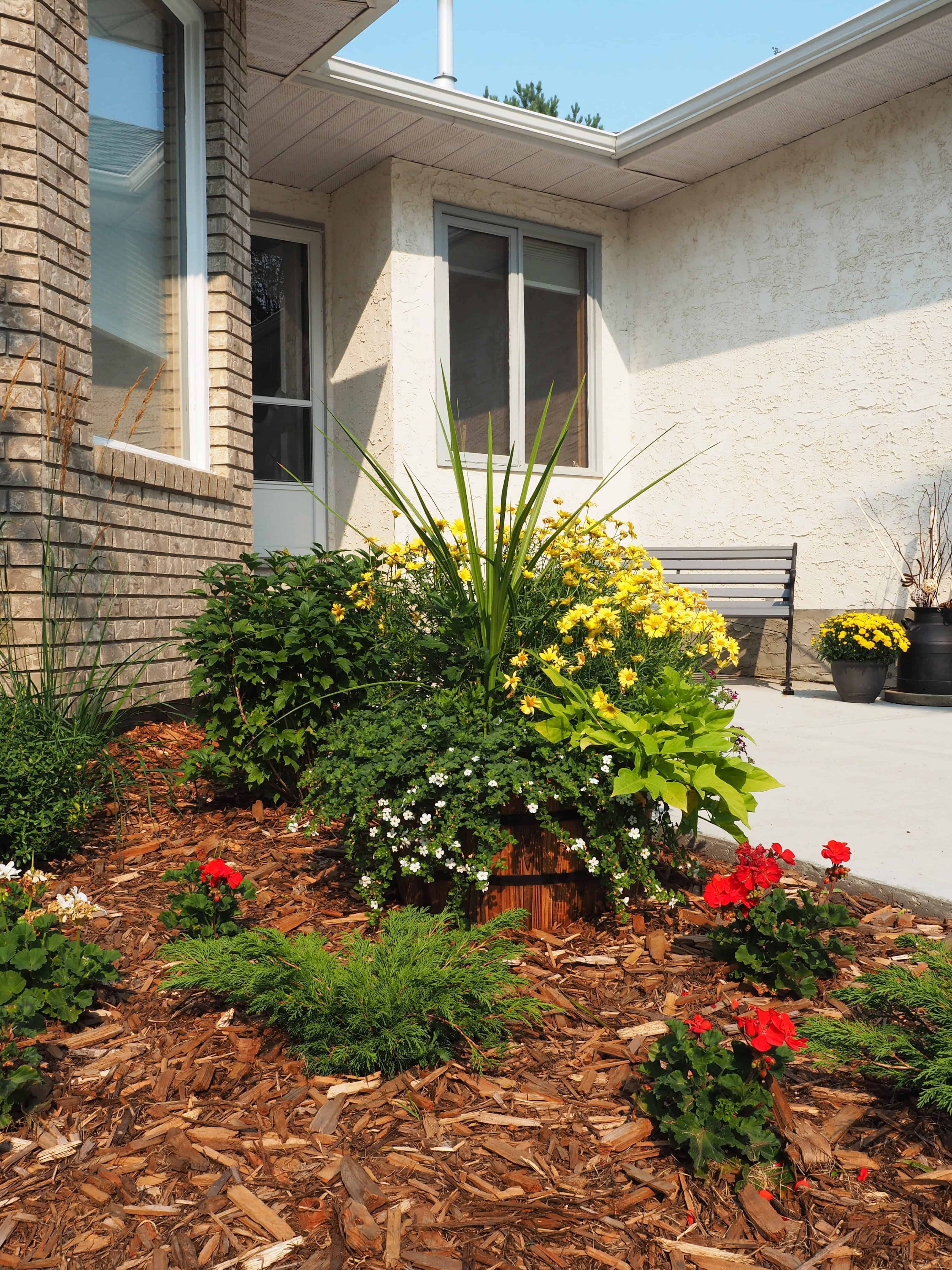 small yard landscaping