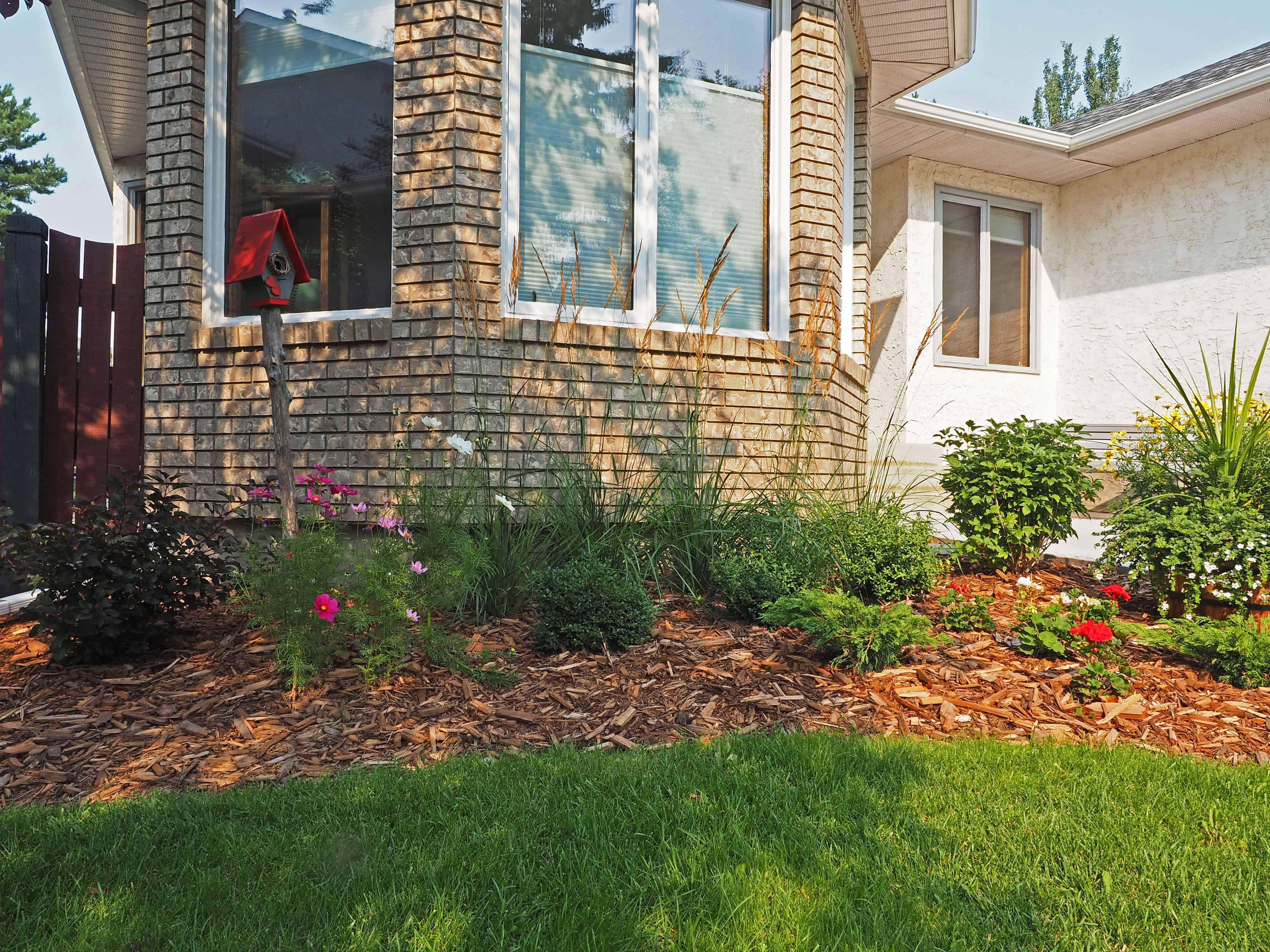 front yard landscaping