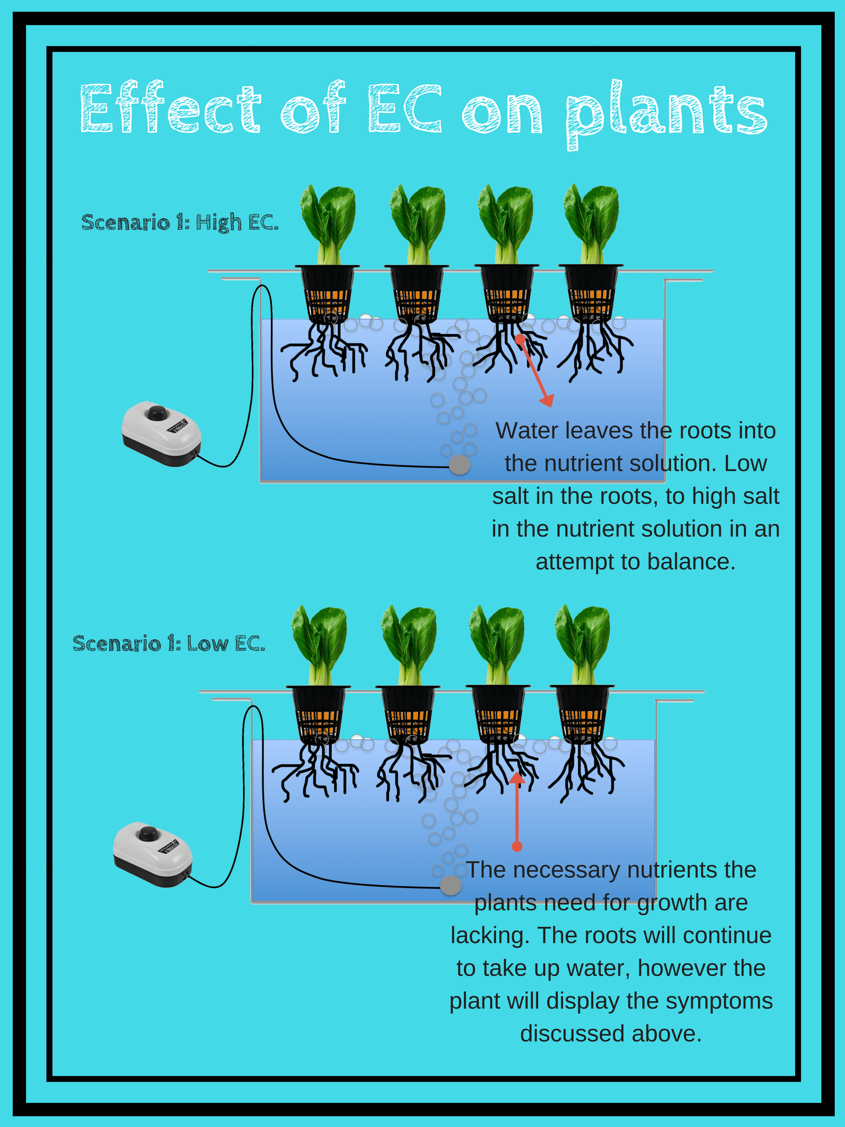 effect of EC on plants