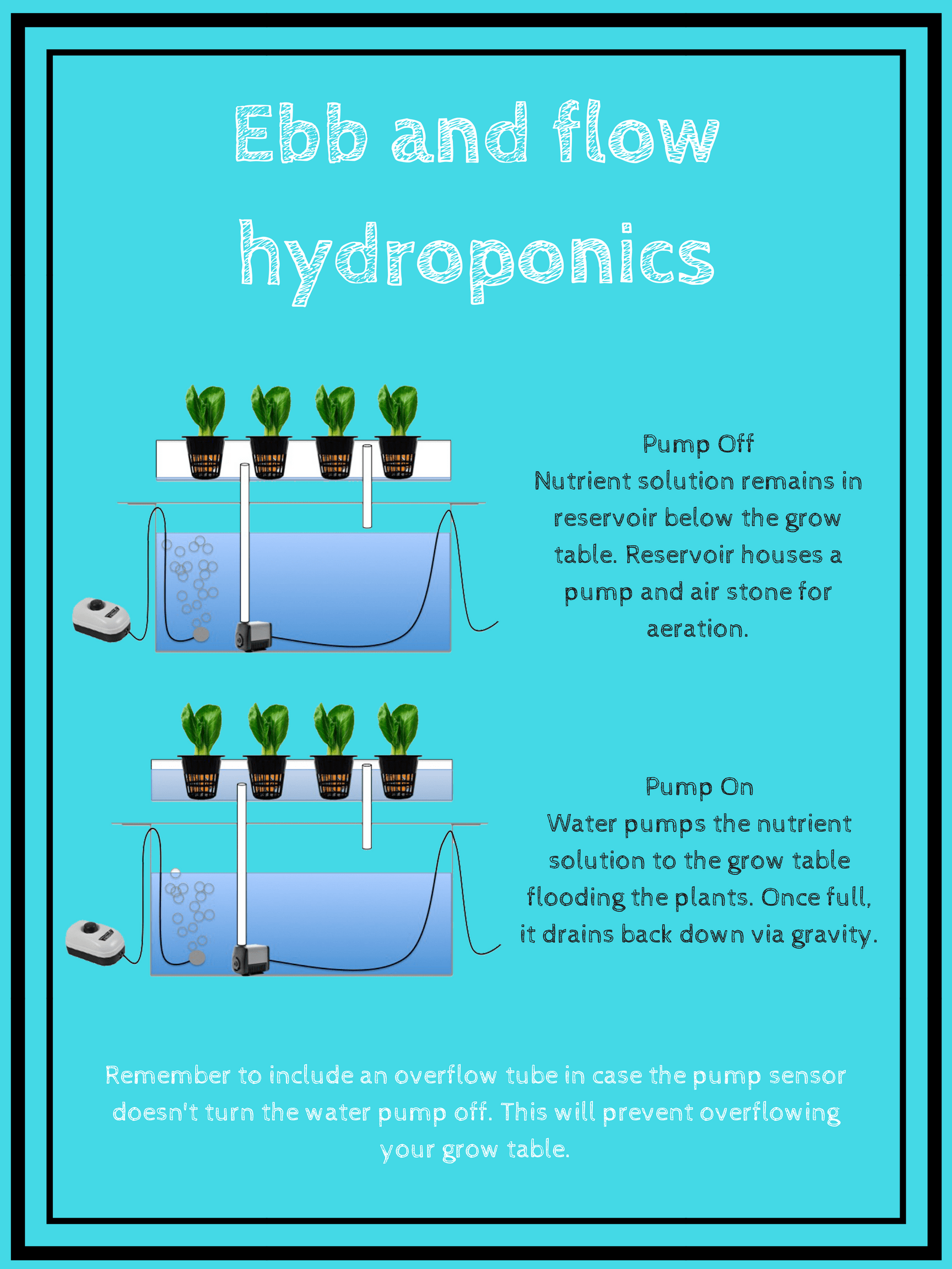 ebb and flow hydroponics