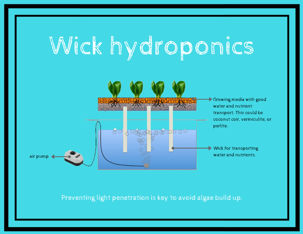 wick hydroponics
