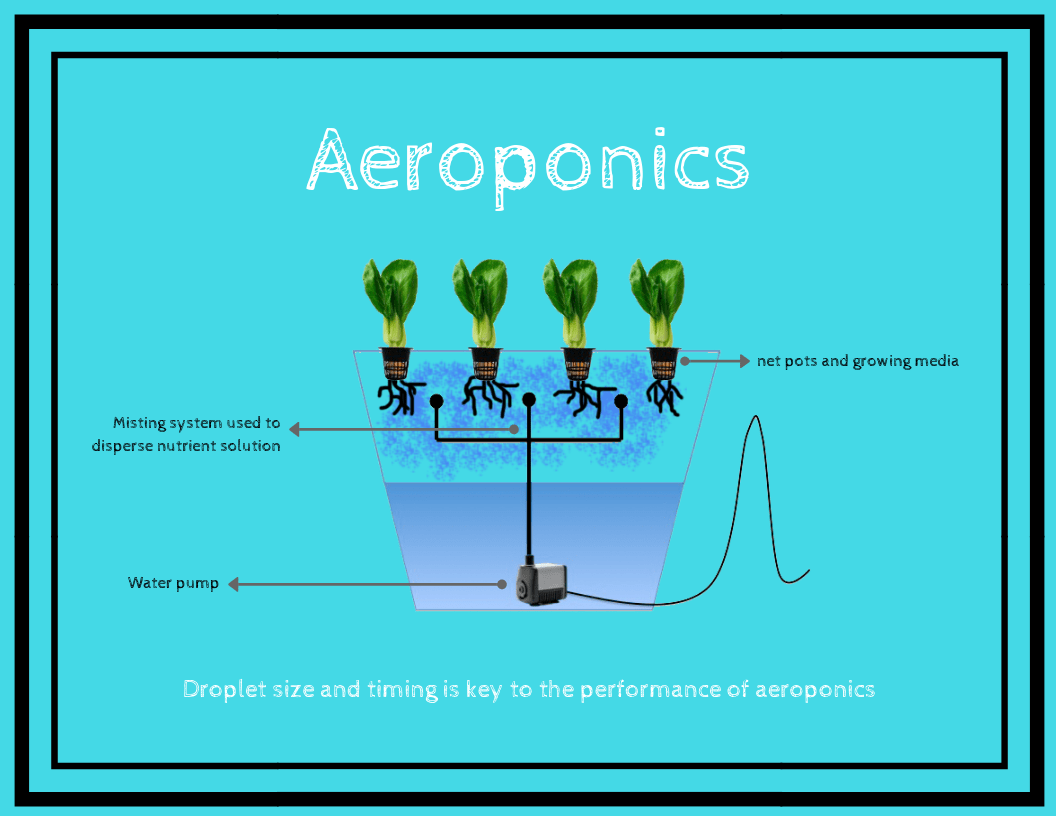 aeroponics