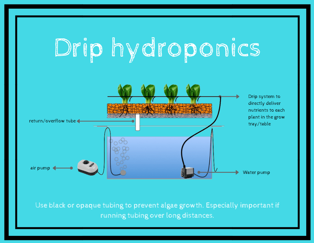 drip hydroponics
