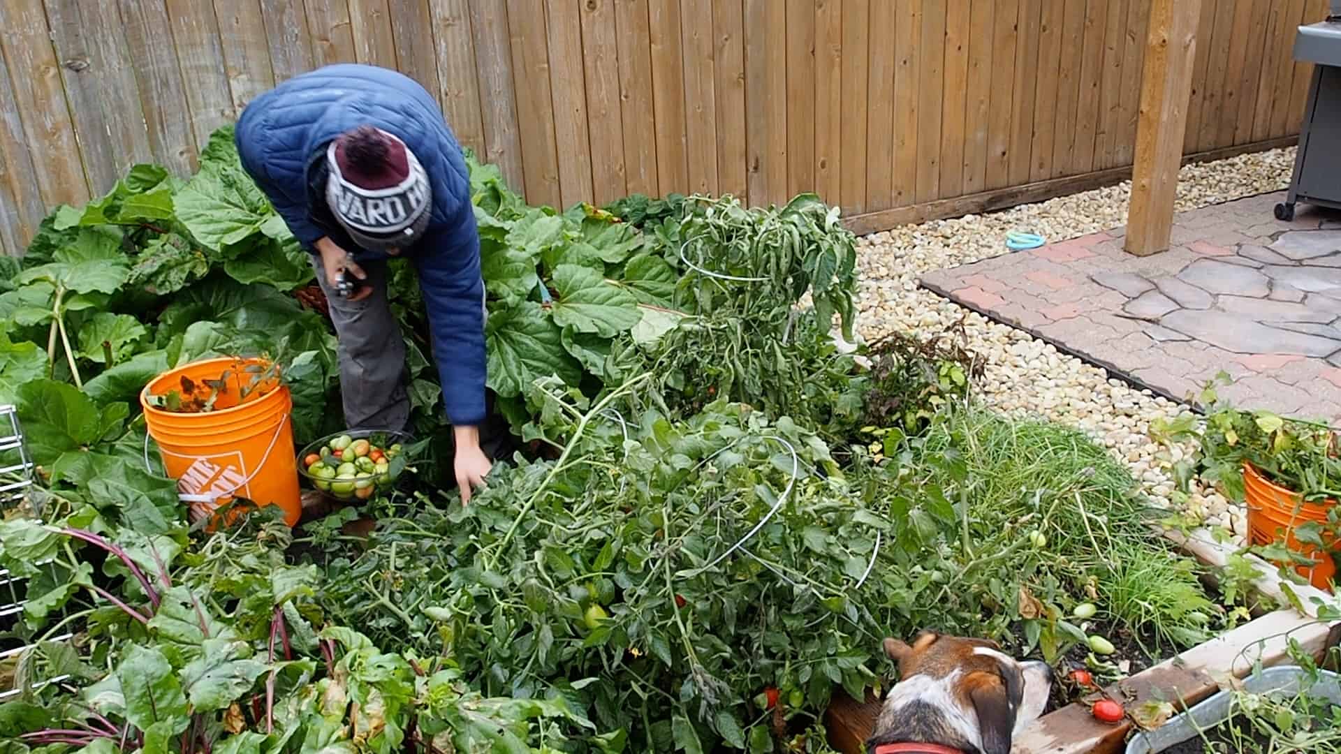 prepare your garden for winter