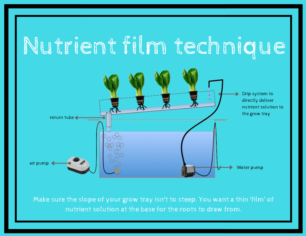 nutrient film technique