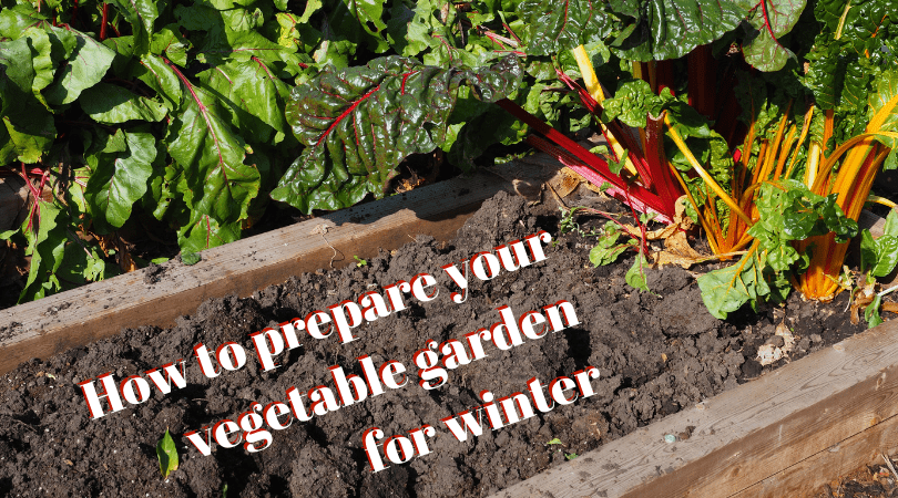 prepare your garden for winter
