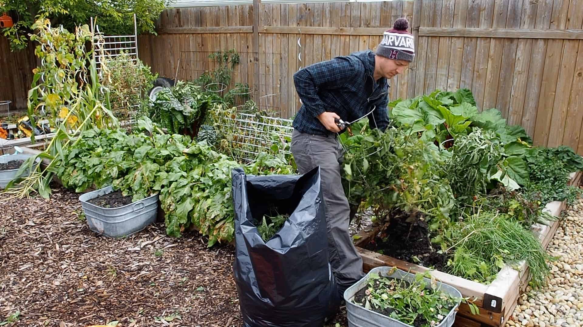 prepare garden for winter