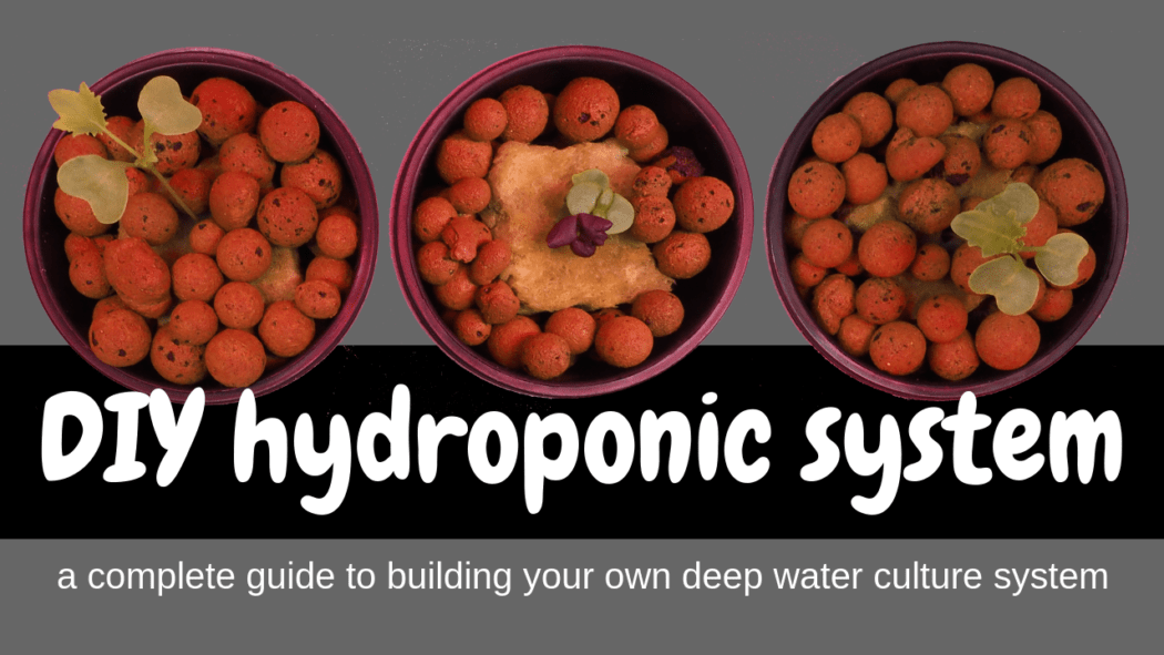 diy hydroponic system