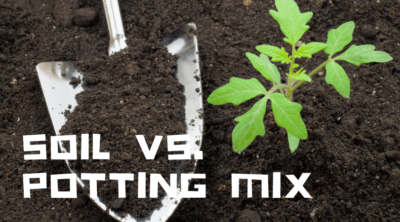 soil vs potting mix