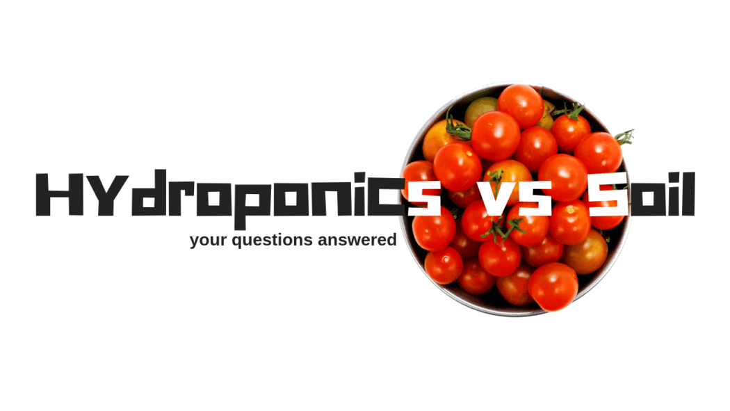 hydroponics vs soil