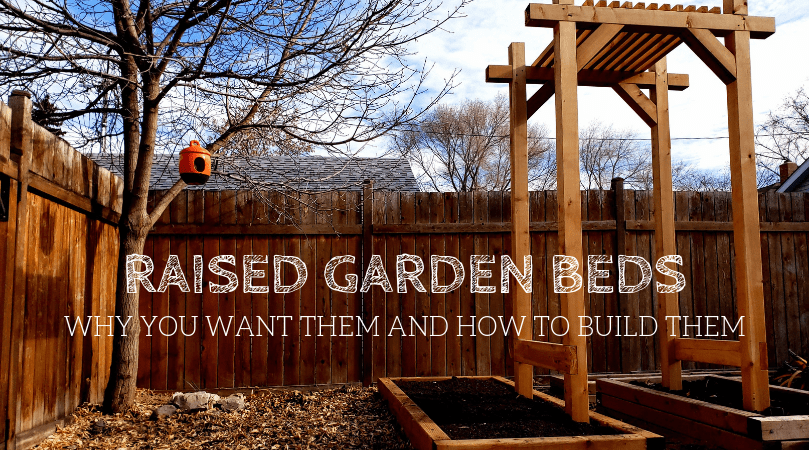 how to build raised garden beds