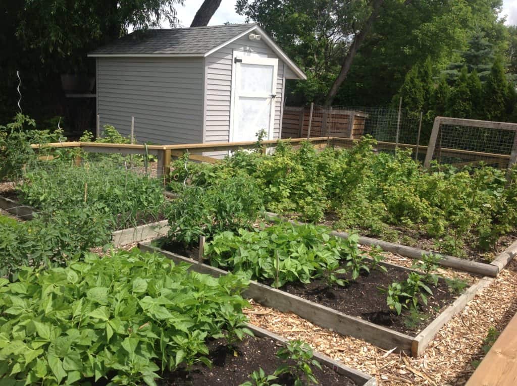 how to build raised garden beds