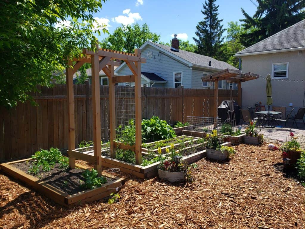 raised garden beds