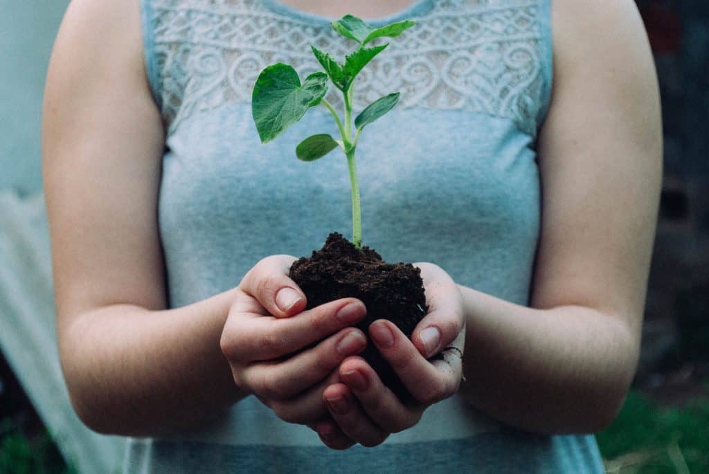 growing your own food